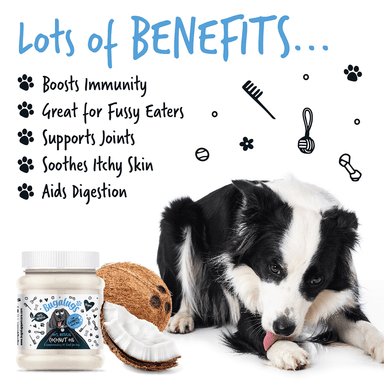 Bugalugs coconut oil for dogs benefits