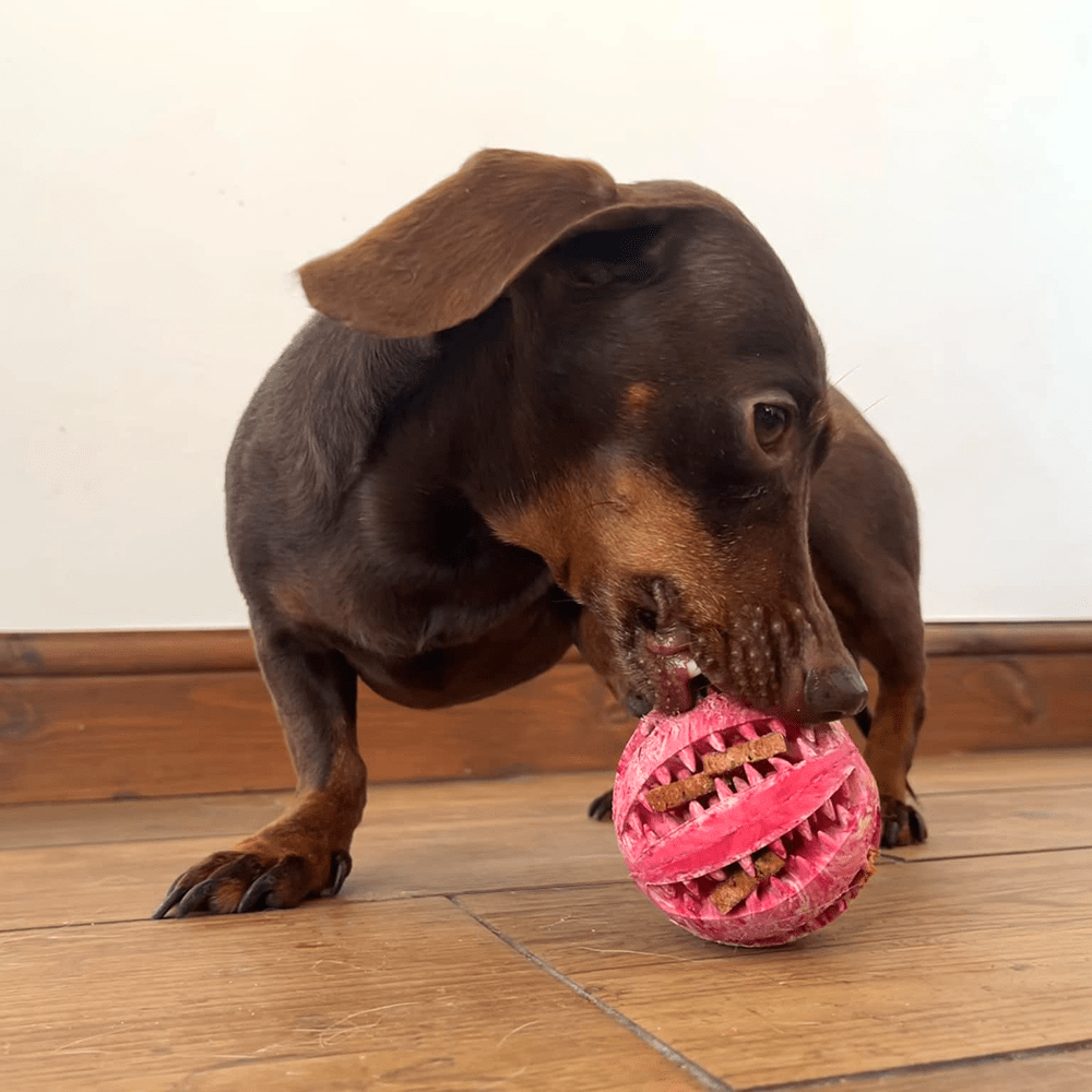 Dur Near Indestructible Ball