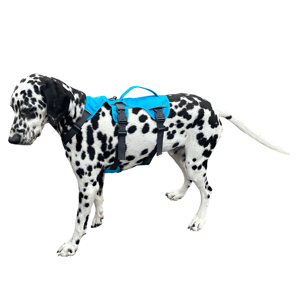 Support'Em Mobility Assist Harness