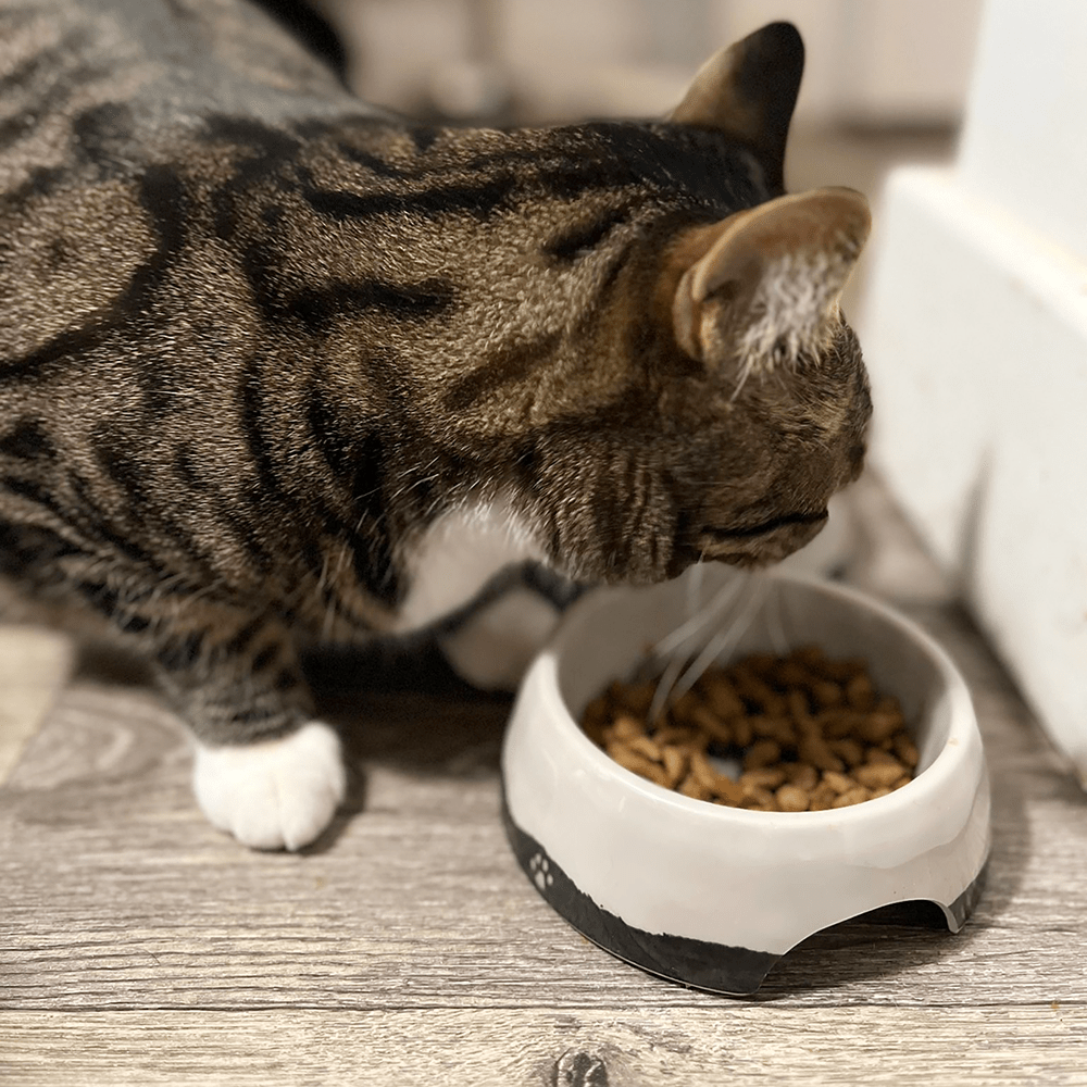 Bamboo Brown Glaze Pet Bowl