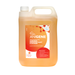 anigene professional surface disinfectant 5L container citrus fragrance