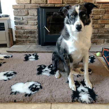 ProFleece Vetbed Pet Bedding collie print non slip with a collie sitting on it in a living room