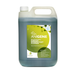 anigene professional surface disinfectant 5L container dill fragrance