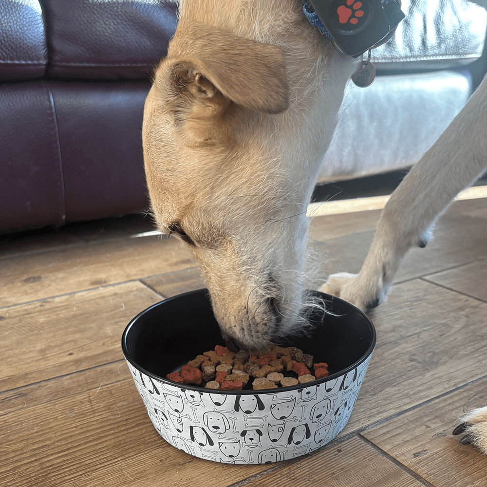 Friendly Faced Dog Bowl