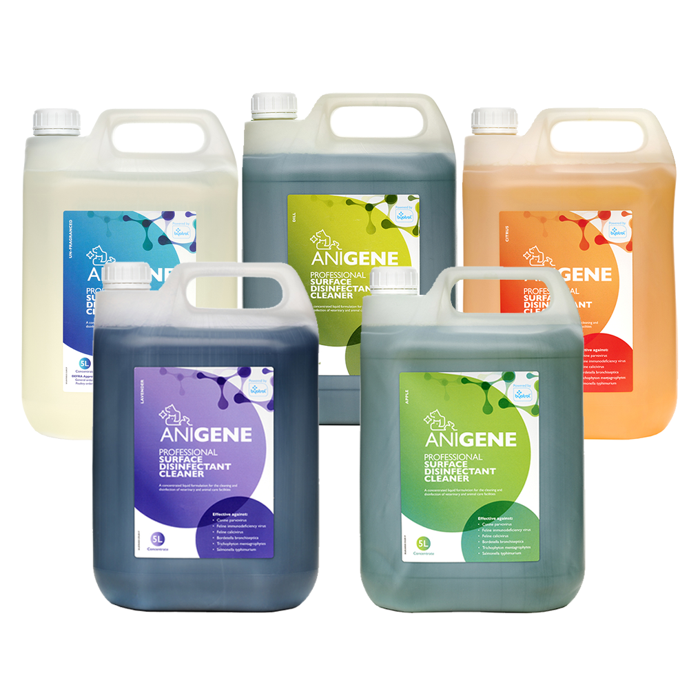 anigene professional surface disinfectant 5L containers picture showing all five fragrances
