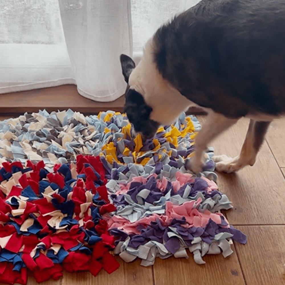 NoseyPaws Snuffle Mat