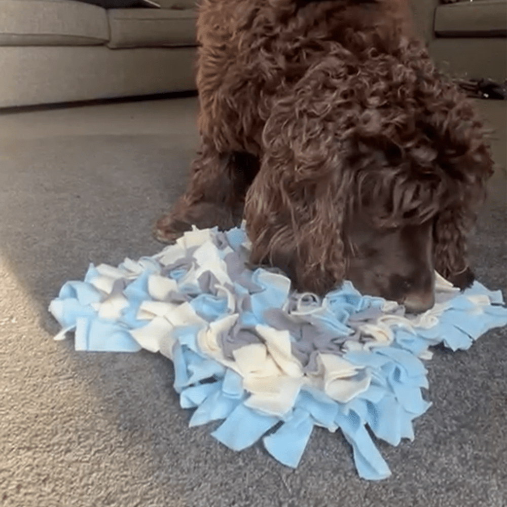 NoseyPaws Snuffle Mat