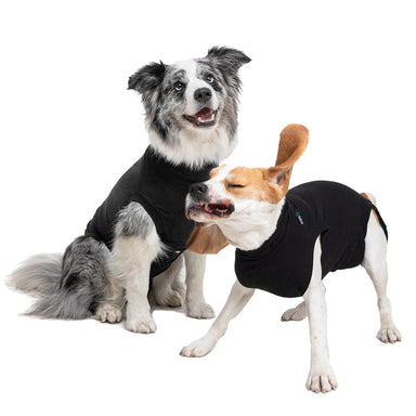 Suitical Recovery Suits for dogs starter pack showing a collie and beagle in black suits