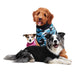 Suitical Recovery Suits for dogs starter pack showing a small Terrier and a border collie and a labradoodle in black, blue camouflage and pink camouflage suits