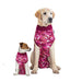 Suitical Recovery Suits for dogs starter pack showing a small Terrier and a golden Labrador in pink camouflage suits