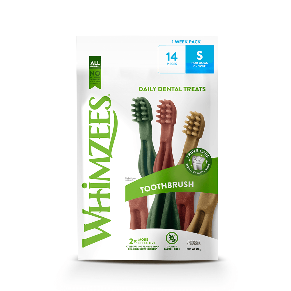 Whimzees dental brush treats for dogs