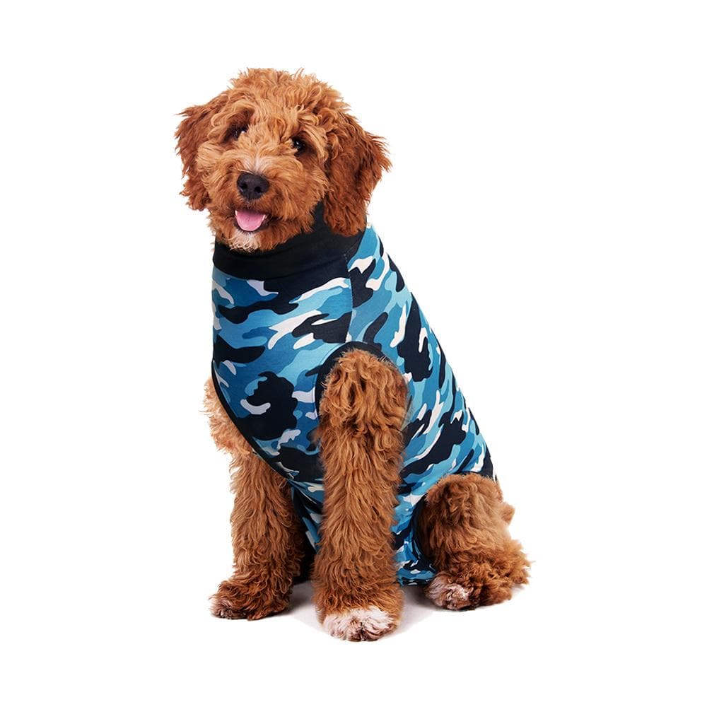 Dog Recovery Suits Review - Whole Dog Journal