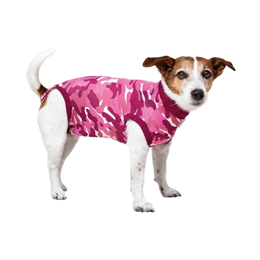 RECOVERY DOUBLE SLEEVES® CHIEN - Suitical