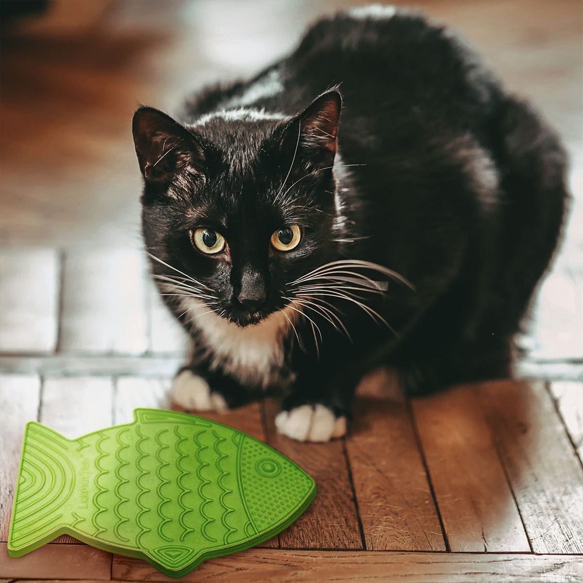Lickimat Casper & Felix, Fish-Shaped Cat Slow Feeders Lick Mat, Boredom  Anxiety Reducer; Perfect for Food, Treats and Anxiety Reduction. (Orange 