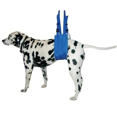 Dalmatian in a Quick Animal Lift Support sling for dogs in blue from Four Flags over Aspen